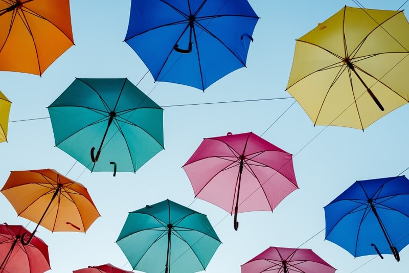 Umbrellas Image