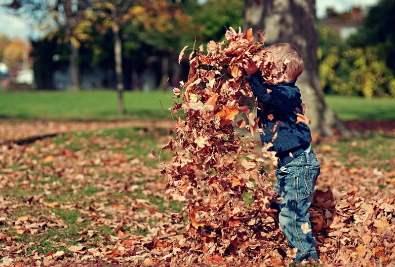 a child throwing yellow leaves
