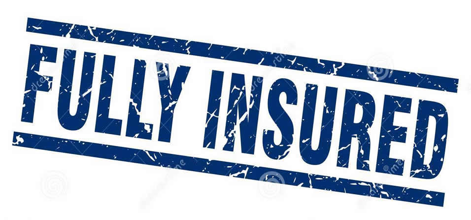 Fully insured Image